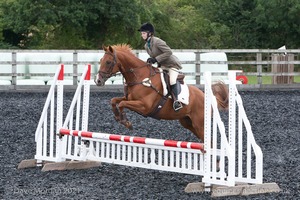 Class 5 - Fences not above 2'6